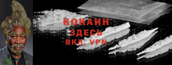 шишки Дмитриев