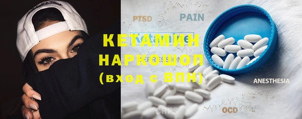 шишки Дмитриев