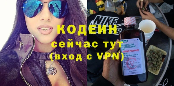 шишки Дмитриев