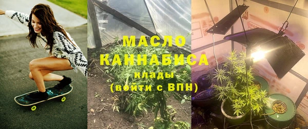 шишки Дмитриев