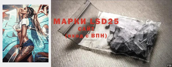 шишки Дмитриев