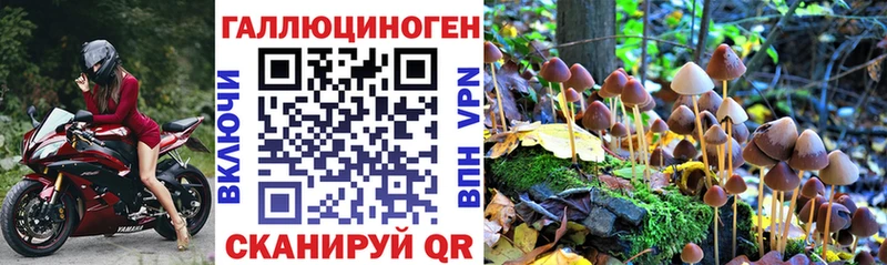 ОМГ ОМГ ссылка  Черногорск  Галлюциногенные грибы мицелий 
