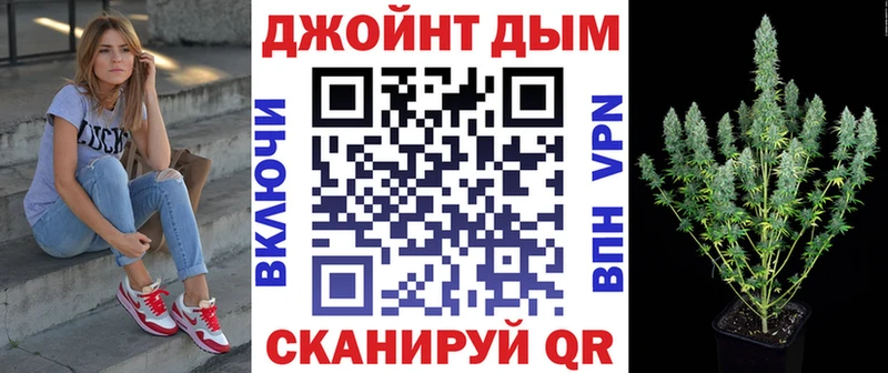 МАРИХУАНА SATIVA & INDICA  мориарти наркотические препараты  Черногорск 